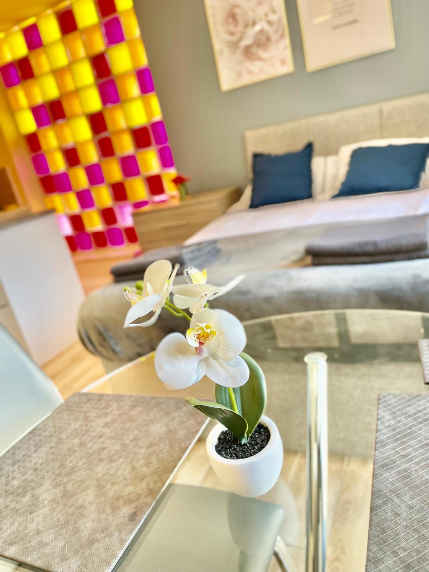 Centre Immaculate Sleeps 2 - Location Paradise Street Apartment